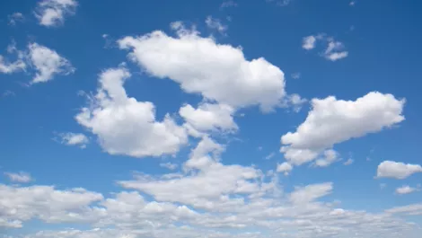 Avnet launches 'market filler' cloud services