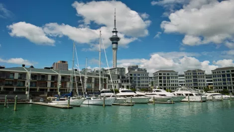 Provoke appoints new Auckland GM
