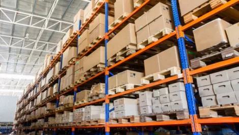Ingram Micro bags Bojak distribution deal