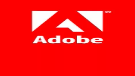 Adobe opens up NZ distribution