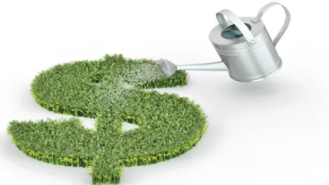 Green still a low priority