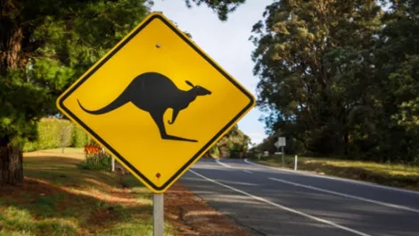 Aussie reseller targets Kiwi market