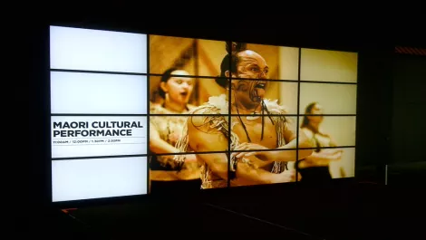 Auckland Museum builds 16-monitor Matrox video wall