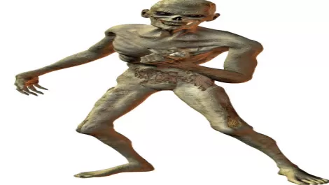 McAfee's “fascinating” year