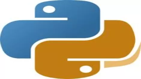 IT industry backs Python conference