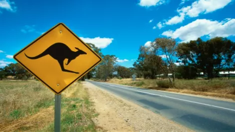 Optus cuts 290 Aussie jobs