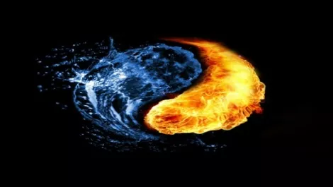 Do you have Type 1 or Type 2 IT?