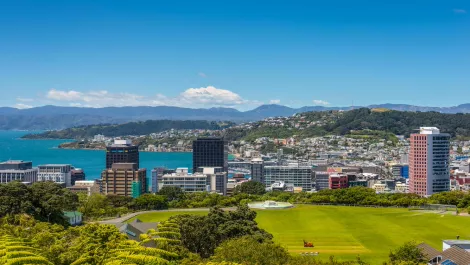 Wellington agency champions NZTech's 'Digital Nation' report