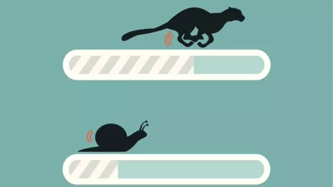 The secrets to Agile success: 'Modern Agile is being Agile'