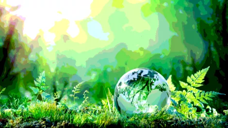 Screen shot 2018 04 20 at 10