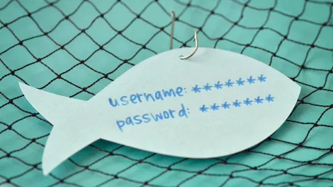 Phishing declines, but targets increase - report