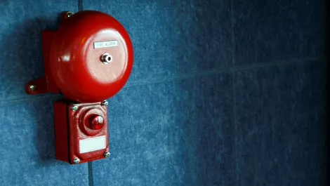 Cyber threat spotlight: Kiwis report more, lose less in Q2