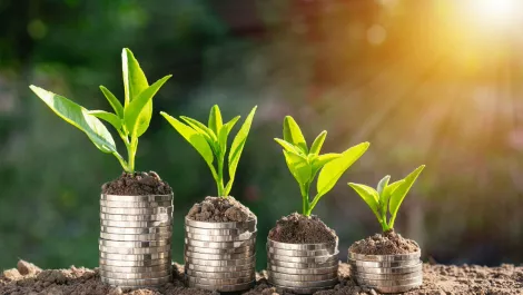 Global smart speaker market experiences 45% growth