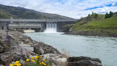 Gettyimages 1290812974