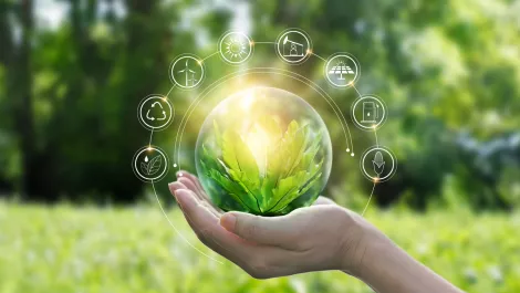 The AI Forum helps NZ pave the way with AI sustainability practices