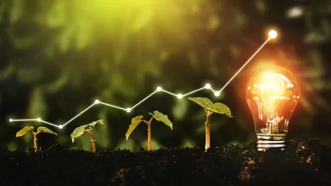 Innovation critical to business success, study finds