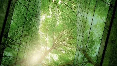 Gettyimages 1442149049