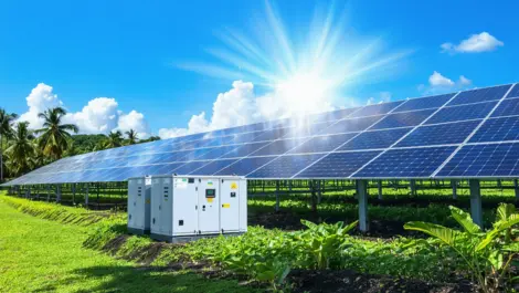 Techday 66308dd18566981748d5