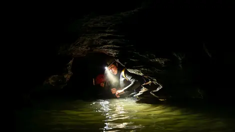 Discover waitomo image 3