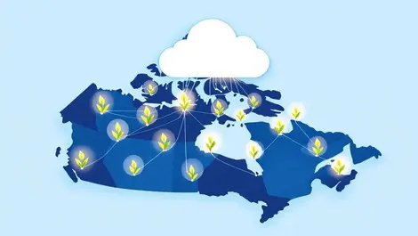 Canada ai startup seedlings network cloud hub health finance ag